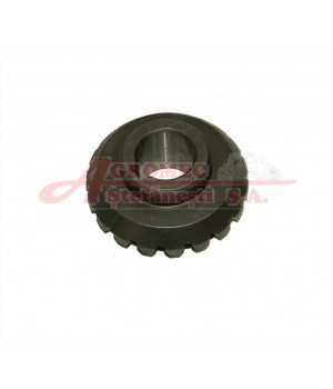 Pinion Z19 316.006